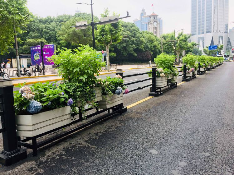 道路花箱,綠云天